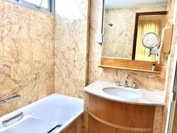 Rafflesia Condominium (D20), Condominium #501593301